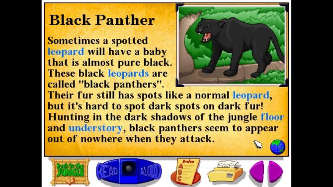 Let's Explore the Jungle (Junior Field Trips) 