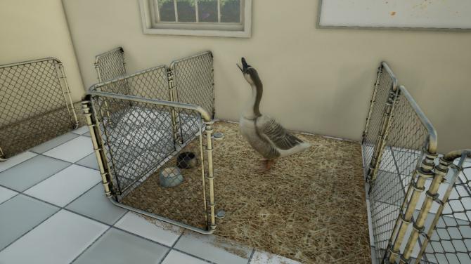 Animal Doctor 