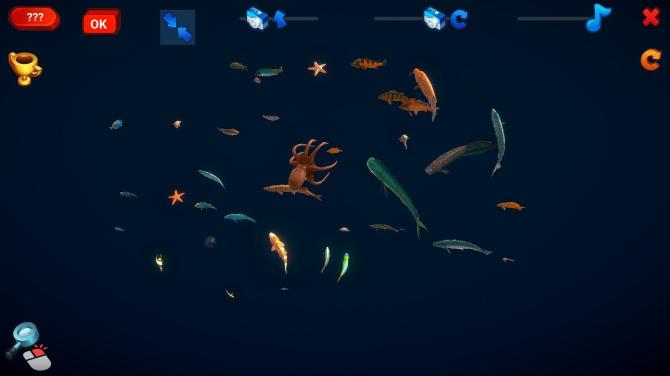 How Much Items - Fishes 