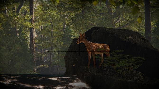 Forest Ranger Simulator 