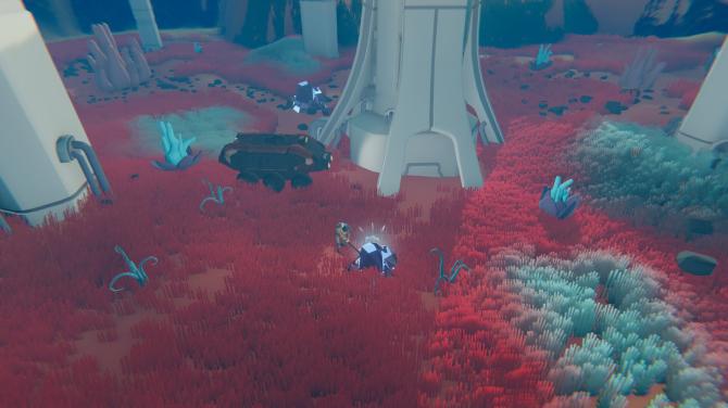 Wild Planet 
