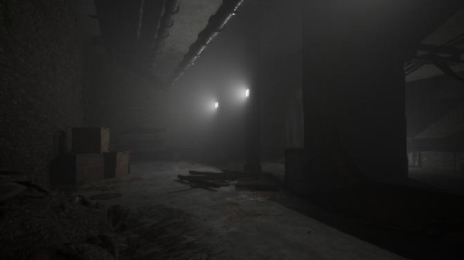 The Door in the Basement 