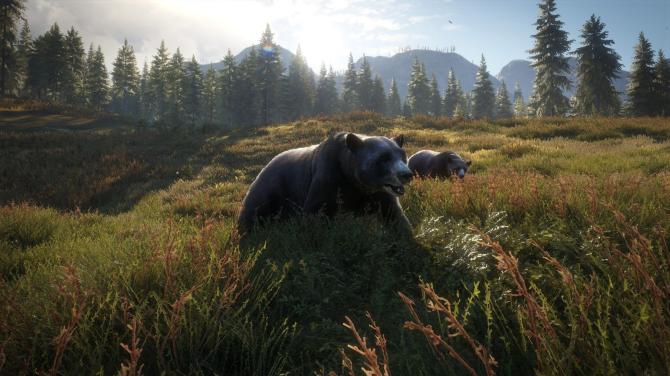 theHunter: Call of the Wild Silver Bundle 