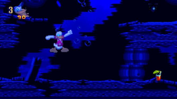 Maui Mallard in Cold Shadow 