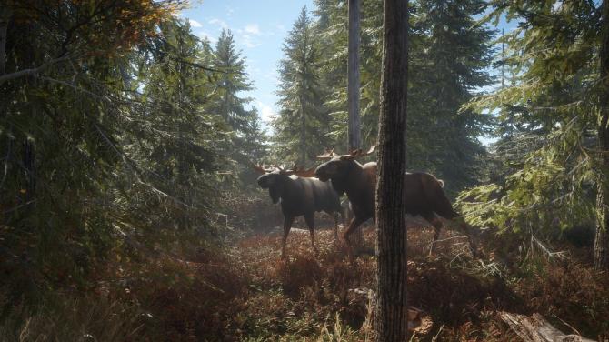 theHunter: Call of the Wild Silver Bundle 