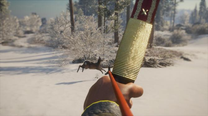 theHunter: Call of the Wild - Seasoned Hunter Bundle 