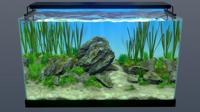 Behind Glass: Aquarium Simulator 