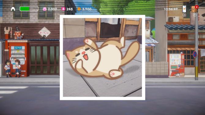 Neko Odyssey 