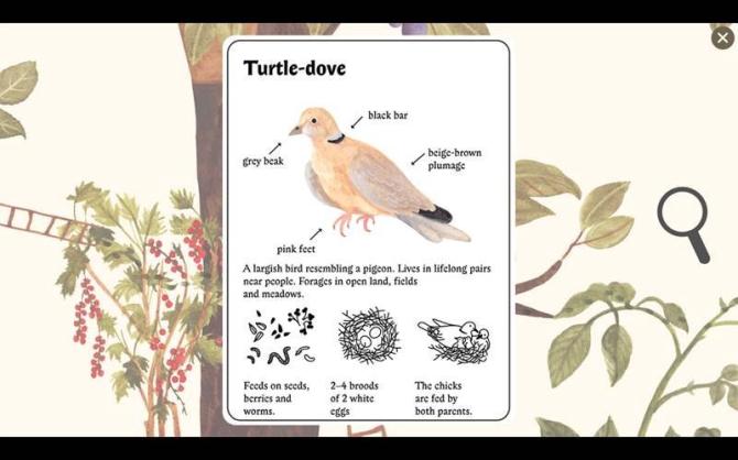 Little Mouse's Encyclopedia 