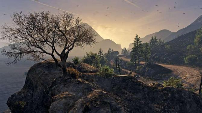 Grand Theft Auto V + Whale Shark Cash Card Rockstar Digital Download CD Key 