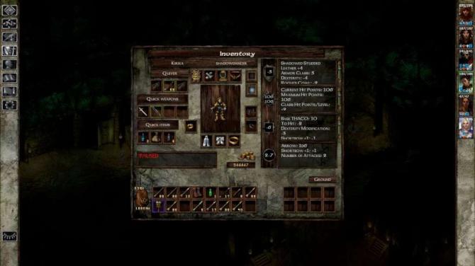 Icewind Dale: Enhanced Edition 