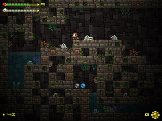 Adventure Apes and the Mayan Mystery 