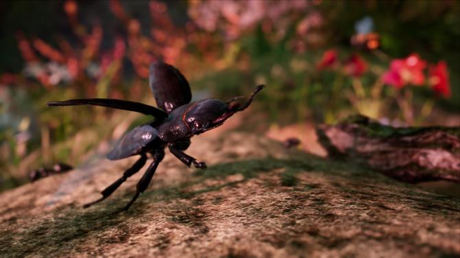 AWAY: The Survival Series EU v2 