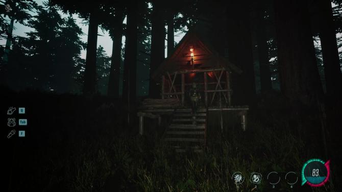 Mycelium: The Silent Contract 