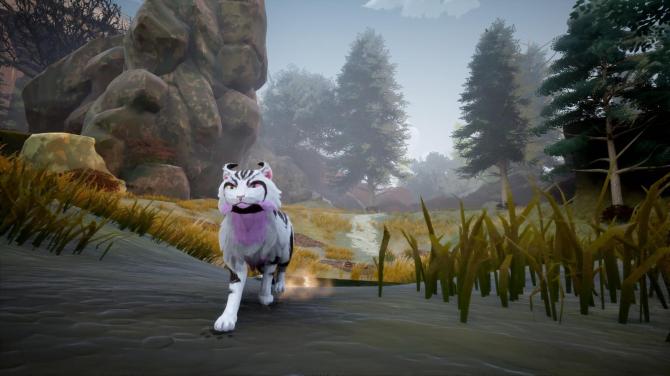 Warrior Cats: Clans of the Forest 