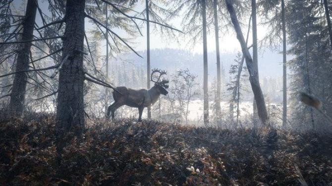 theHunter: Call of the Wild - Master Hunter Bundle 
