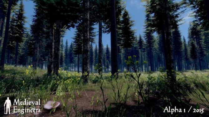 Medieval Engineers Deluxe Edition 