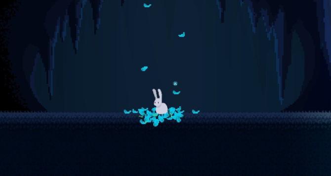 Bunny Hop 