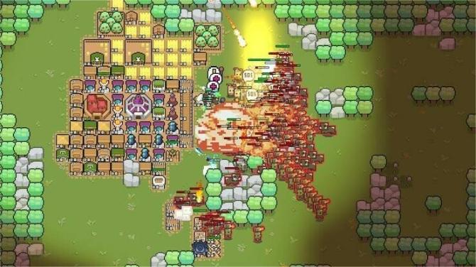 Border Pioneer + Stray Path 
