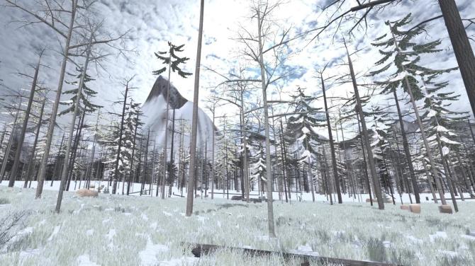 Forest Construction VR 