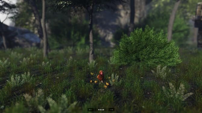 Unlucky Chicken 