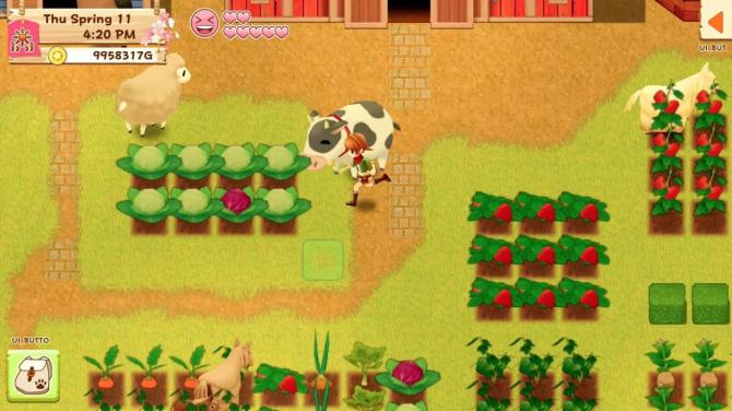 Harvest Moon: Light of Hope Special Edition 