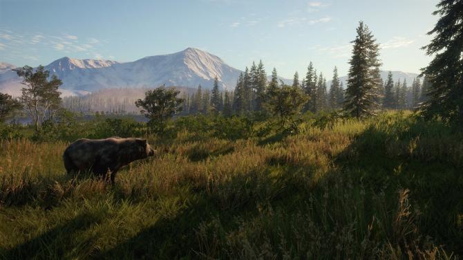 theHunter: Call of the Wild Diamond Bundle 