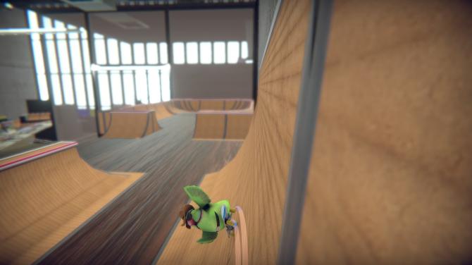 SkateBIRD 