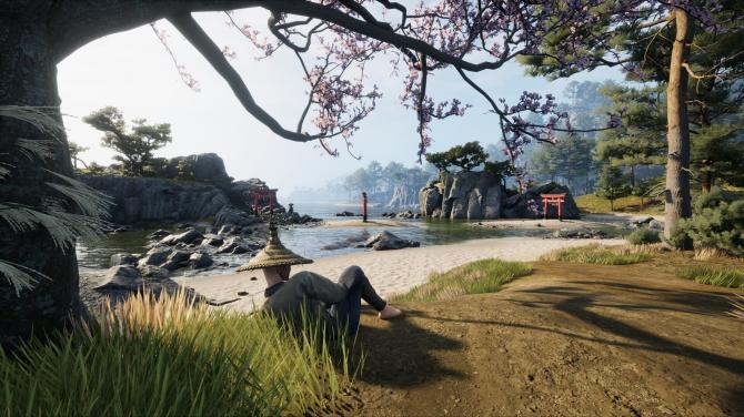 Sengoku Dynasty Supporter Edition 