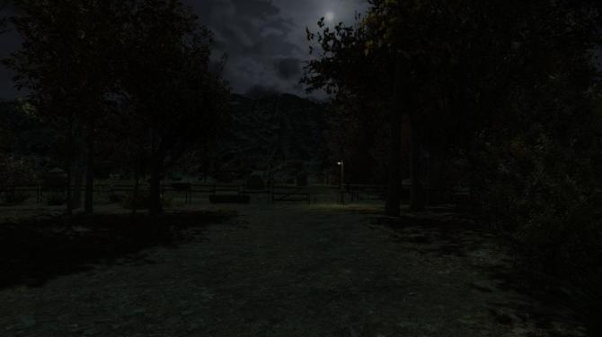 The Cows Are Watching 