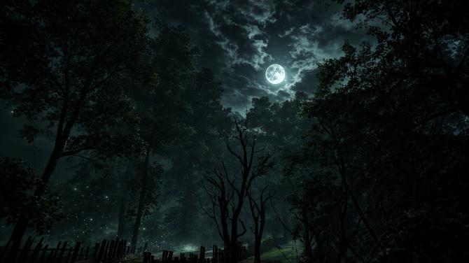 Untold Memories: Potter's Field 