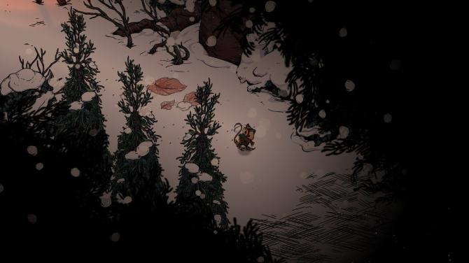 Winter Burrow 
