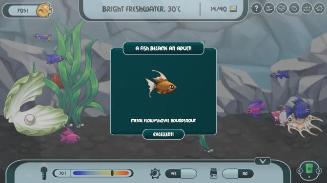 My Joyful Aquarium 