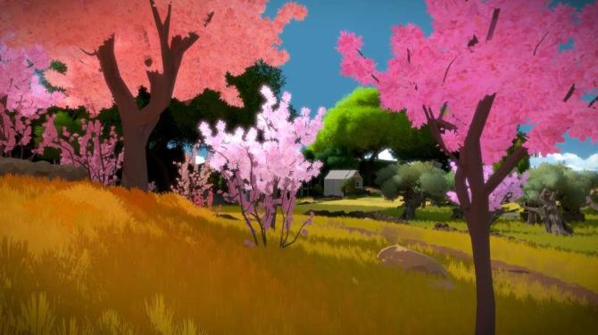 The Witness AR 