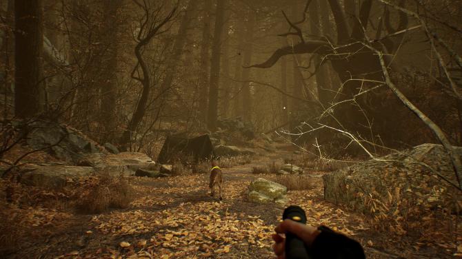 Blair Witch VR 