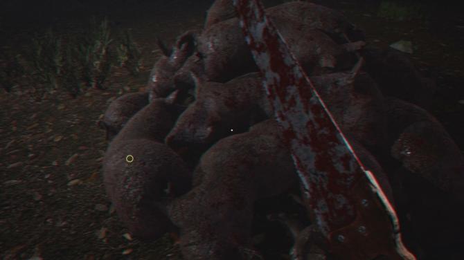 The Method of Hiding a Body 
