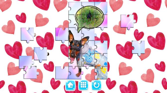 MY DOG! 