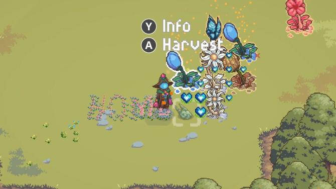 Floramancer: Seeds and Spells 