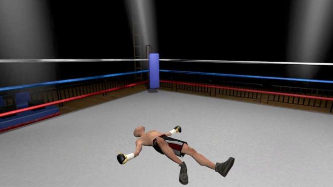 The Thrill of the Fight - VR Boxing 