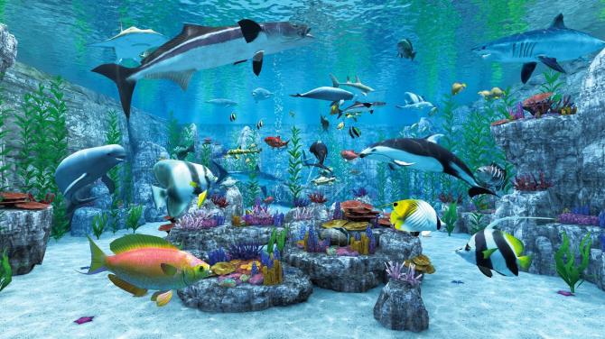 Real VR Fishing 