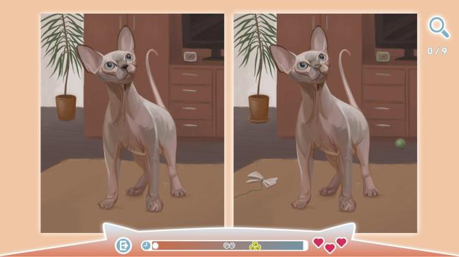 Cute Cats 