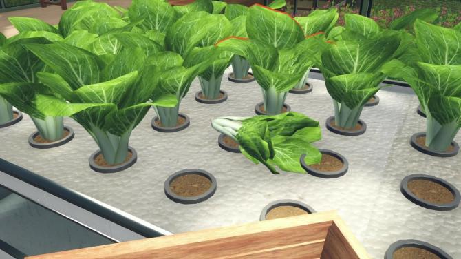 Hydroponics Farm & Store Simulator 