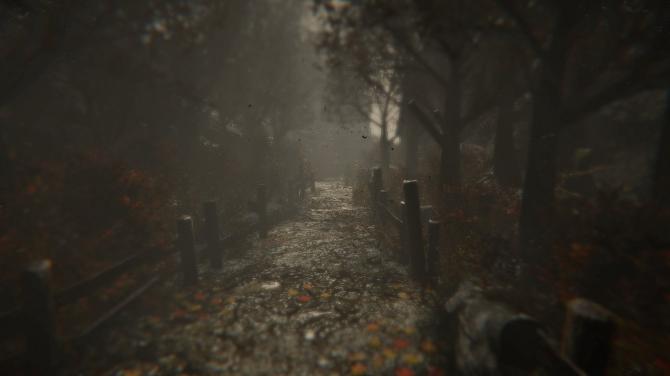 Wounded - The Beginning 