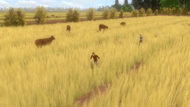 Forgotten Fields 
