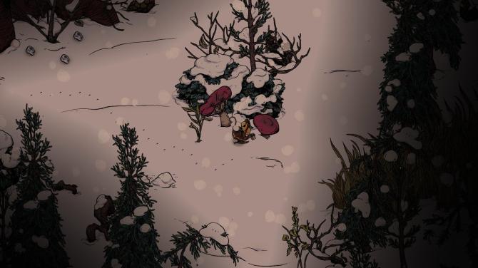 Winter Burrow 