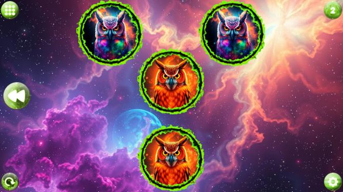 Space Memory: Owls 