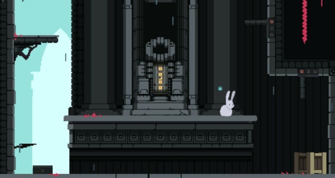 Bunny Hop 