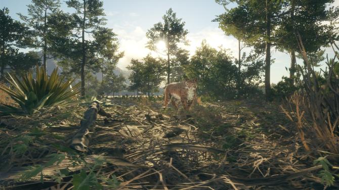 theHunter: Call of the Wild Starter Bundle 