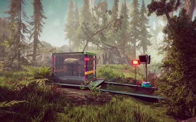 The Forest Cathedral 