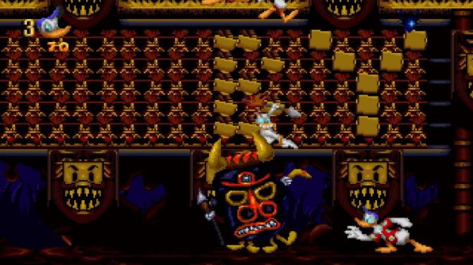 Maui Mallard in Cold Shadow 